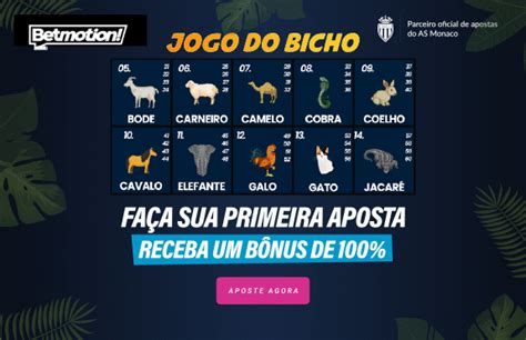 do jogo do bicho ao vivo